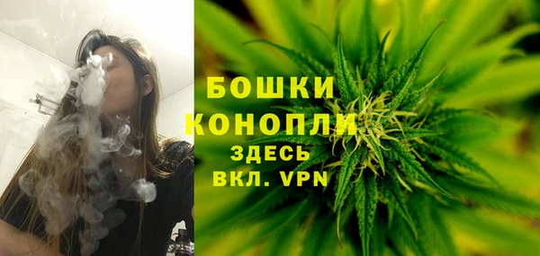 прущая мука Бородино