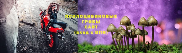 экстази Богданович