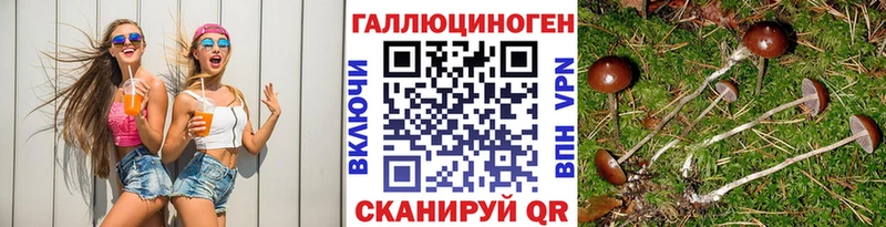 ОМГ ОМГ маркетплейс  Ветлуга  Галлюциногенные грибы MAGIC MUSHROOMS 